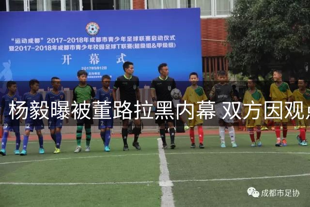 杨毅曝被董路拉黑内幕 双方因观点分歧彻底闹翻