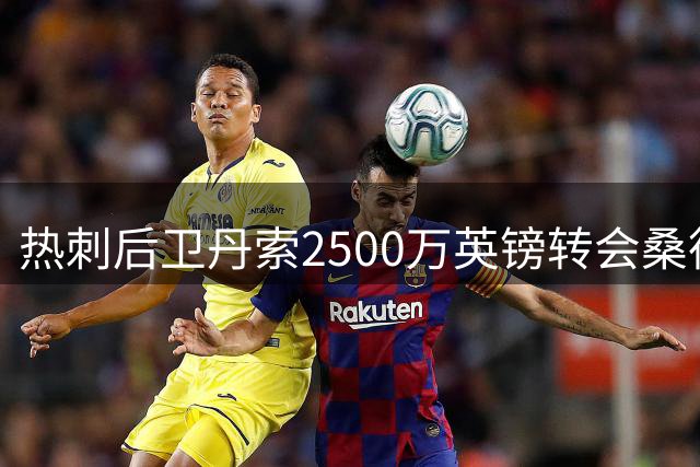 热刺后卫丹索2500万英镑转会桑德兰